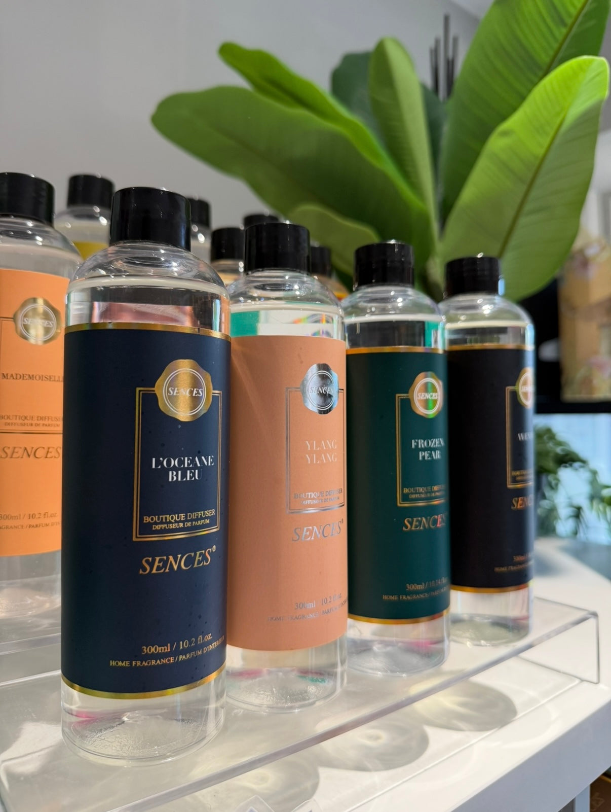 Sences 300ml Diffuser Refills